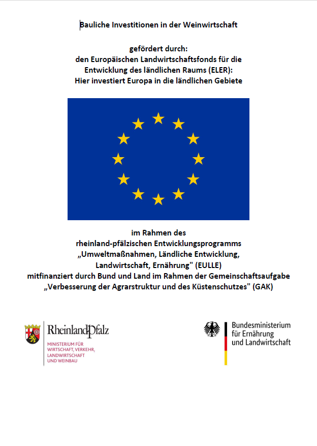 Screenshot EU LOGO
