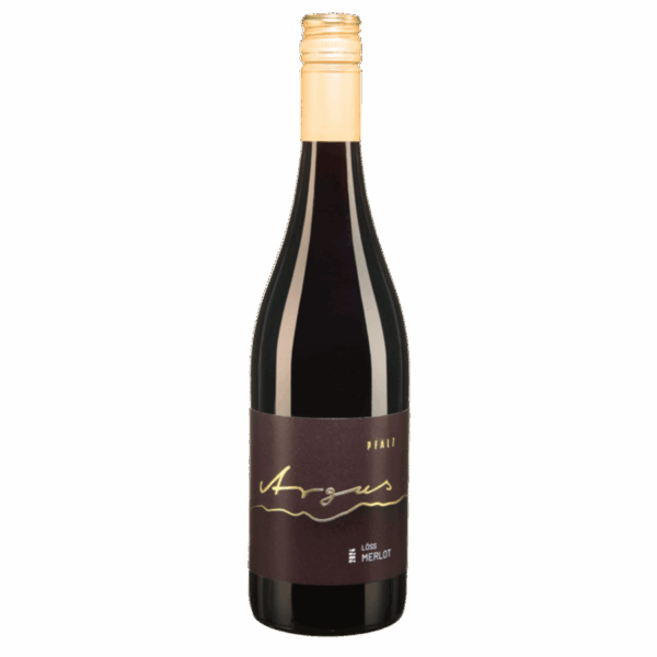 2024 MERLOT trocken, Pfalz – Bild 1